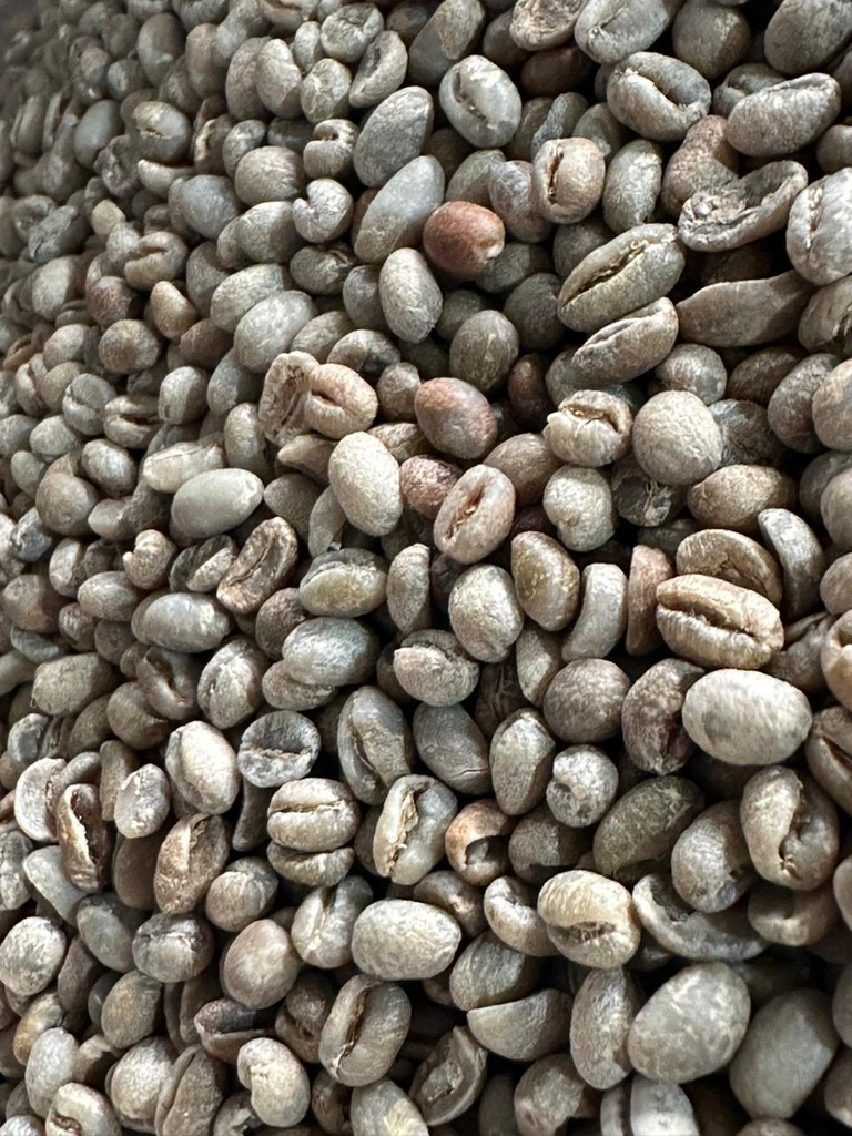 800Gr Café Gourmet Antigua Honey Peaberry