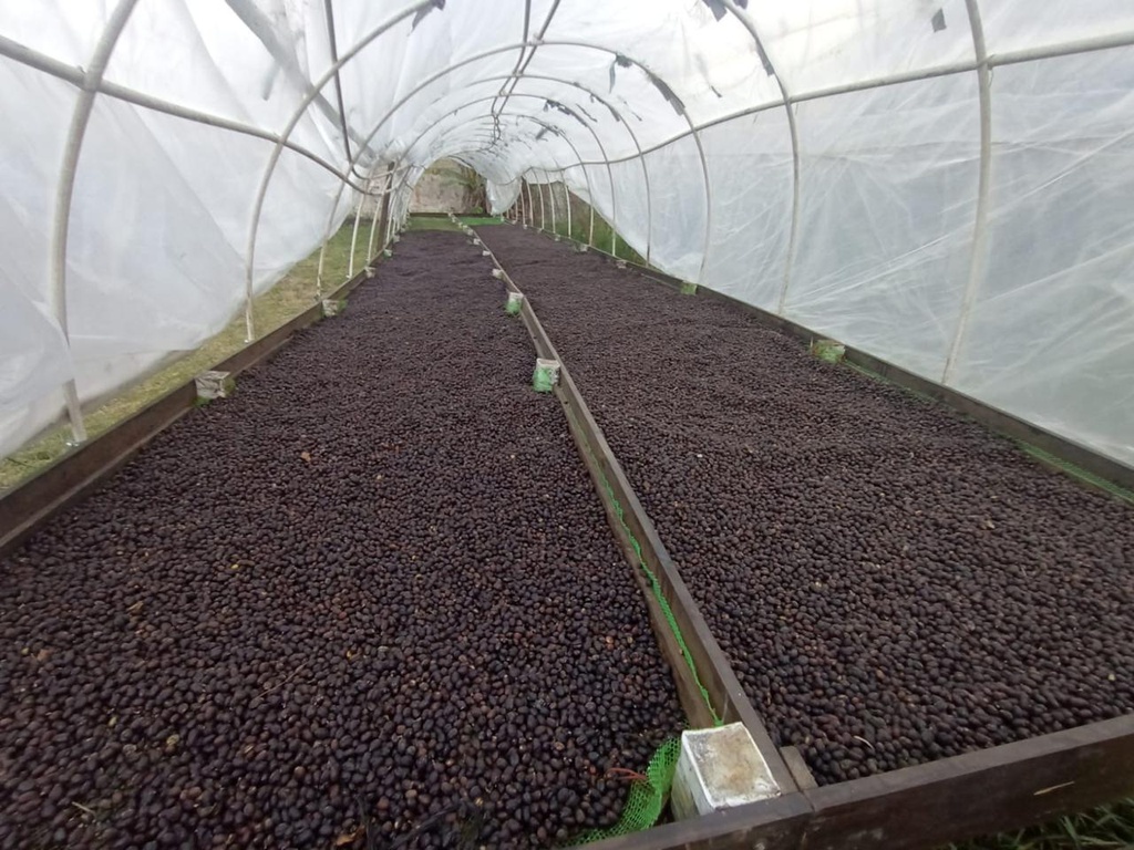 WhatsApp Image 2024-02-21 at 21.47.04.jpeg