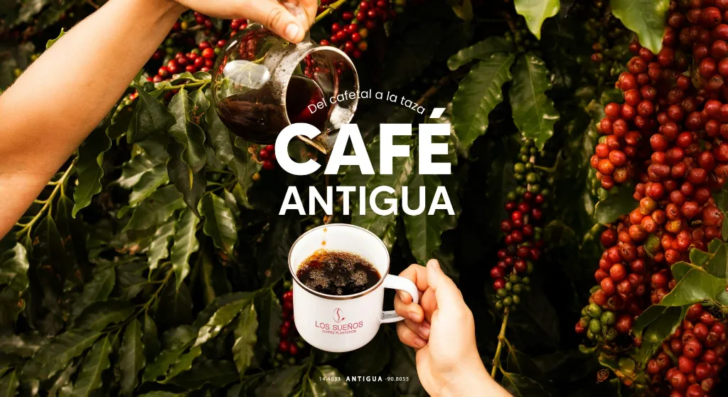 Portada-web-del-cafetal-a-la-taza.webp