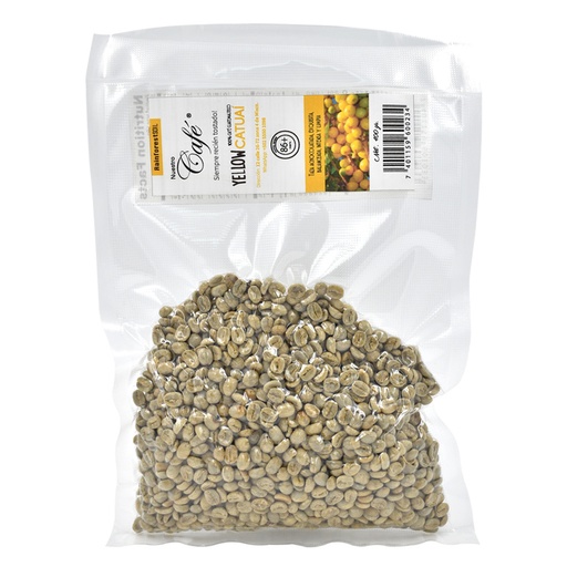 360GR MUESTRA EXPORT YELLOW CATUAI